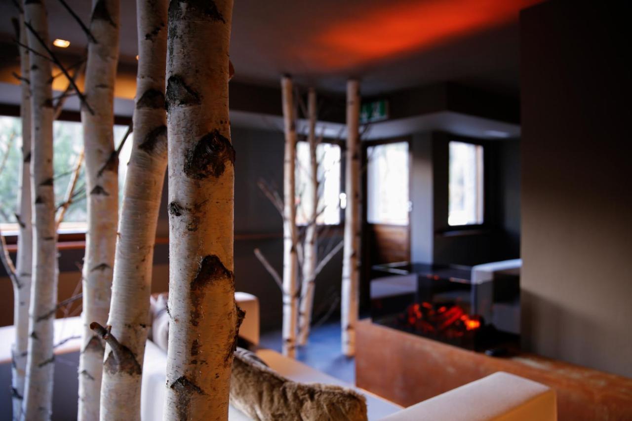 Hotel Alpina - Swiss Ski & Bike Lodge Grimentz Exterior photo